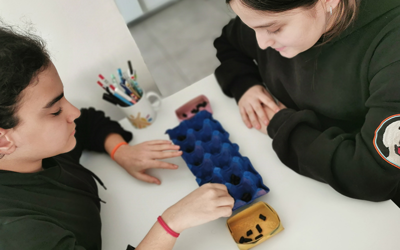 Doğru Statü Eğitim Kurumları