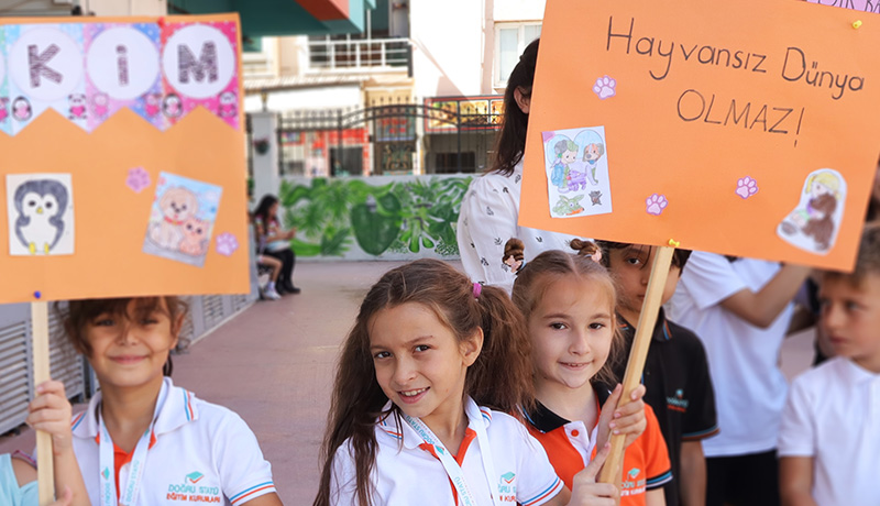 Doğru Statü - Sokak Hayvanları İçin Yemek Noktası Kurduk